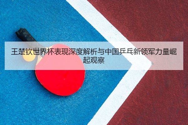 王楚钦世界杯表现深度解析与中国乒乓新领军力量崛起观察